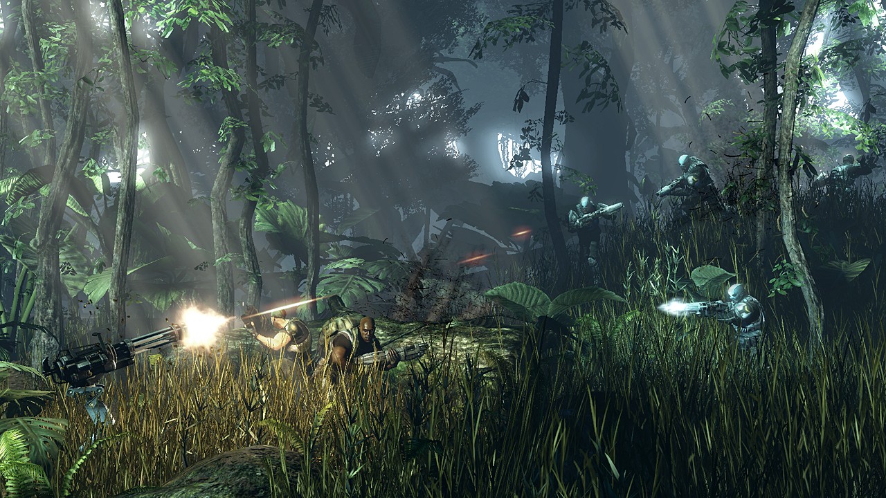 Turok en vidéos