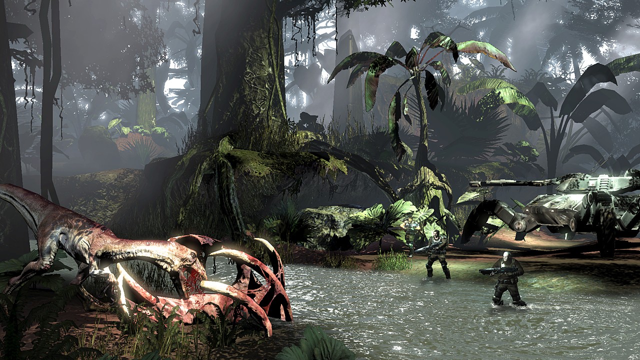 Turok en vidéos