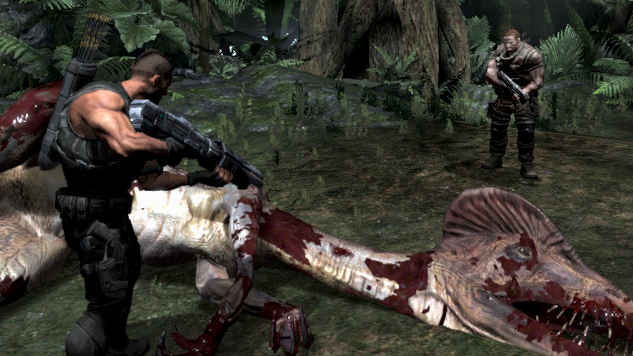 Turok en vidéos