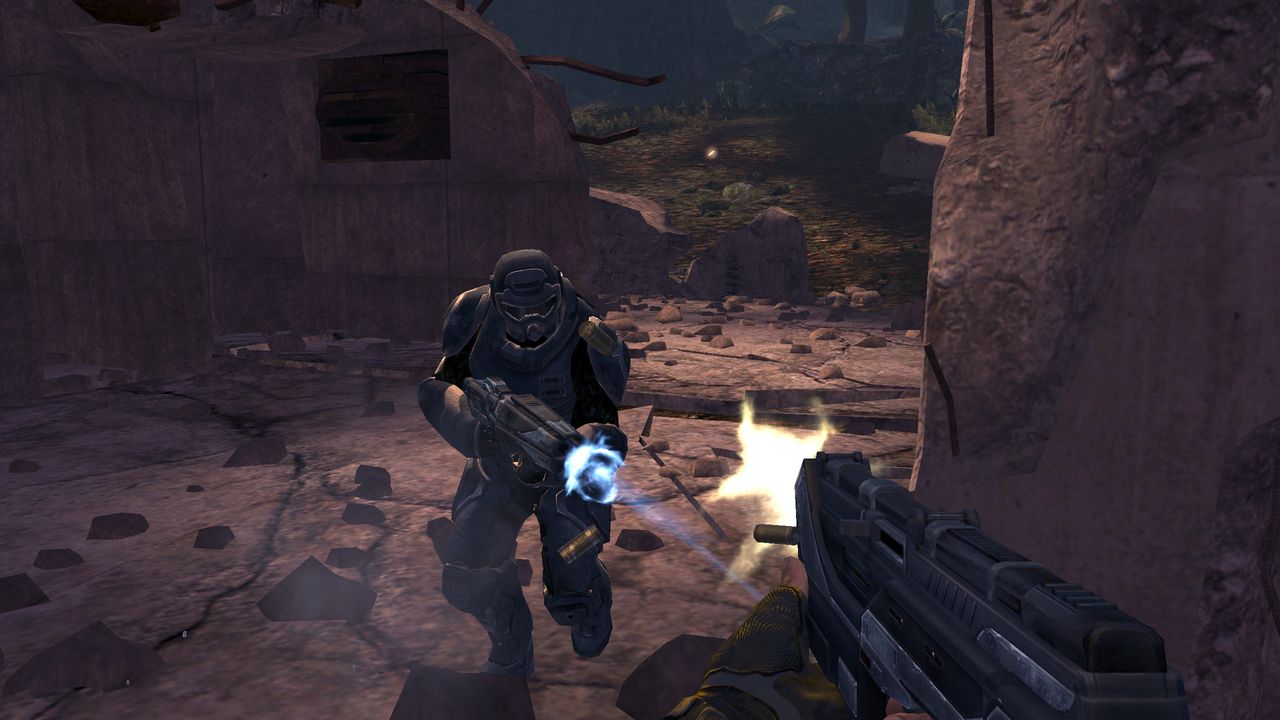 Turok au rapport
