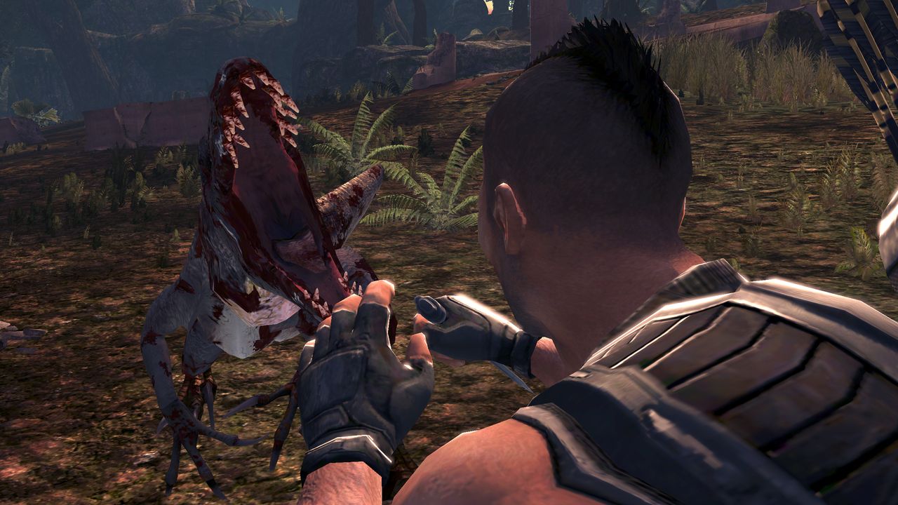 Turok au rapport