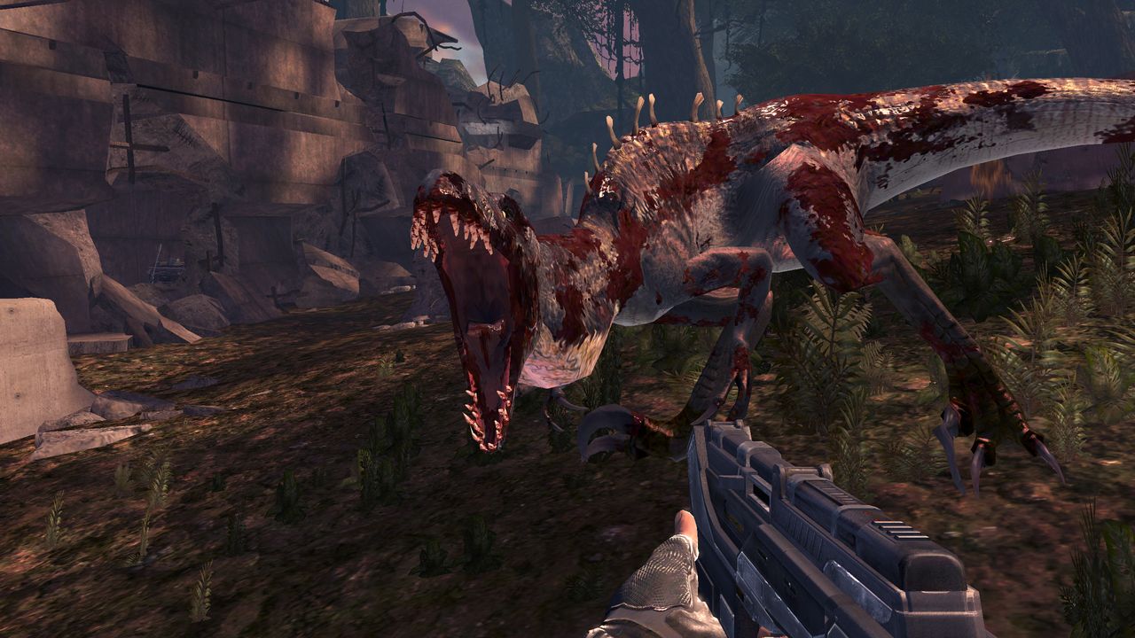 Turok au rapport