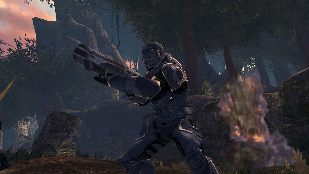 Turok au rapport