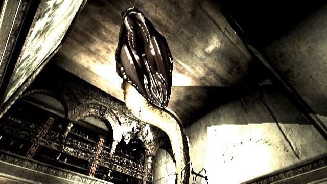 Biohazard Wii : nouvelle vidéo
