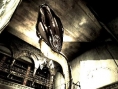 Biohazard Wii : nouvelle vidéo