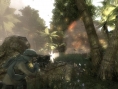 Haze s'infiltre dans la jungle