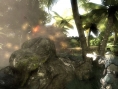 Haze s'infiltre dans la jungle