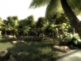 Haze s'infiltre dans la jungle