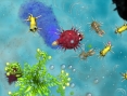 Vidéo Spore