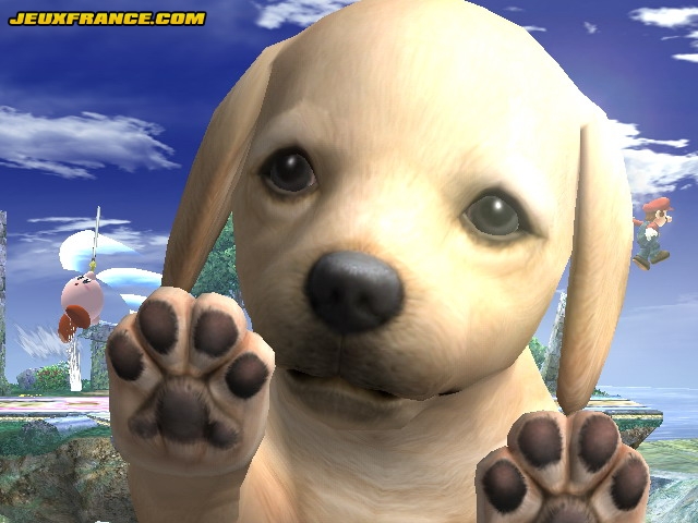 Super Smash Bros. Brawl bientôt présenté