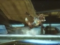 Vidéo Super Smash Bros. Brawl