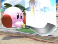 Super Smash Bros. Brawl en images