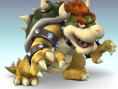 Super Smash Bros. Brawl en images