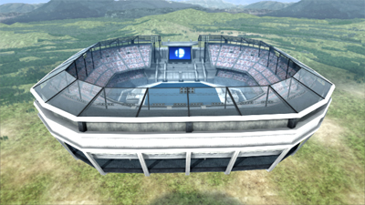 Smash Bros. Brawl remporte la coupe