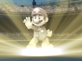 Smash Bros. Brawl remporte la coupe