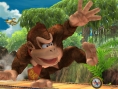 Super Smash Bros. Brawl se protège