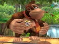 Super Smash Bros. Brawl se protège