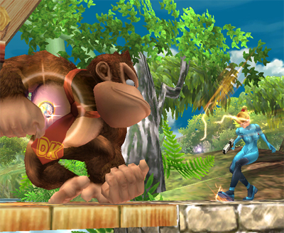 Super Smash Bros. Brawl se protège