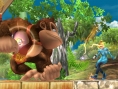Super Smash Bros. Brawl se protège