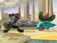 SSBB en dresseur de Pokémon