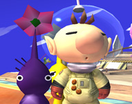 SSBB : Pikmin Go !!