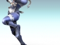 SSBB : Sheik s'installe