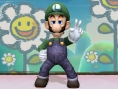 SSBB : le petit vert