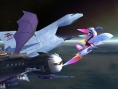 SSBB : 99 images