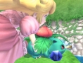 SSBB : 99 images