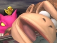 SSBB : 99 images
