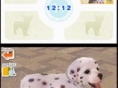 Les Nintendogs reviennent sur DS