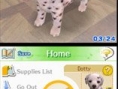 Les Nintendogs reviennent sur DS