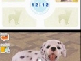 Les Nintendogs reviennent sur DS