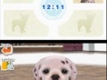Les Nintendogs reviennent sur DS