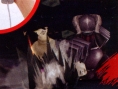 Bleach Wii : plus d'images