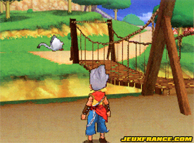 Dragon Quest Monsters J en images