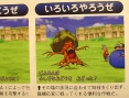 Dragon Quest Monsters J en images