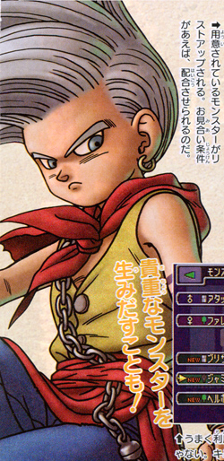 Dragon Quest Monsters J en images