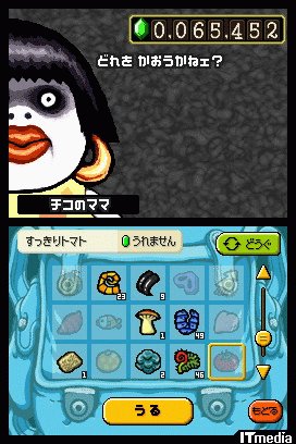 Tingle RPG : plus d'images