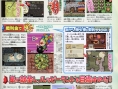 Tingle RPG : encore des images