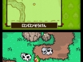 Tingle RPG cherche des Rupees sur DS