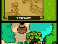 Tingle RPG cherche des Rupees sur DS