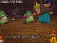 Dragon Quest VIII en images