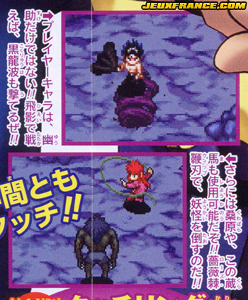 Yu Yu Hakusho DS : plus d'images