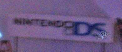 Le logo de la Nintendo DS