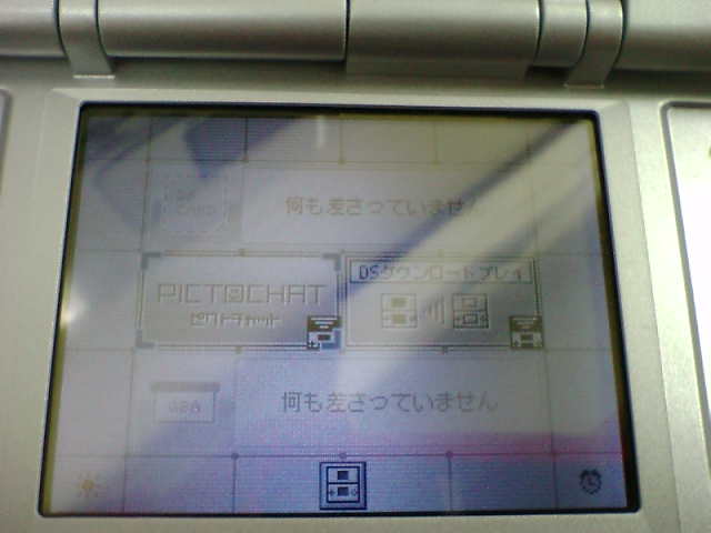 Nintendo DS : photos des menus