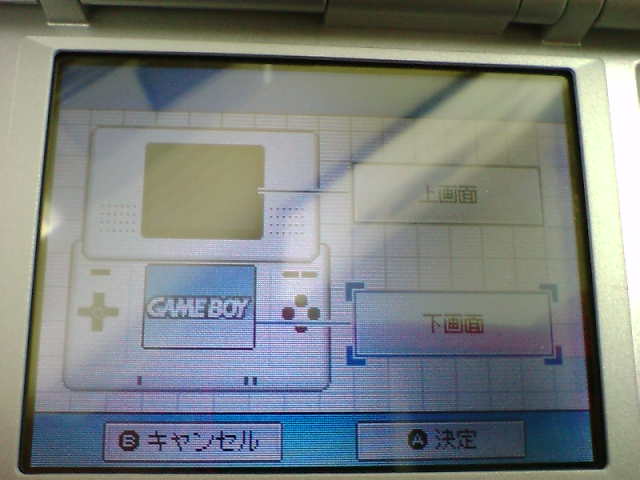 Nintendo DS : photos des menus