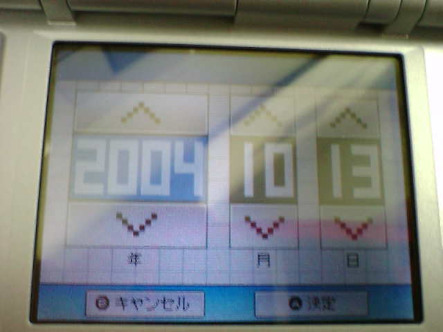 Nintendo DS : photos des menus