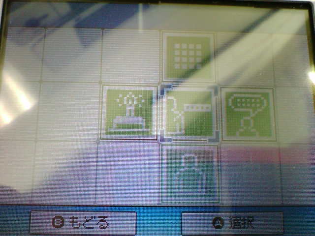 Nintendo DS : photos des menus