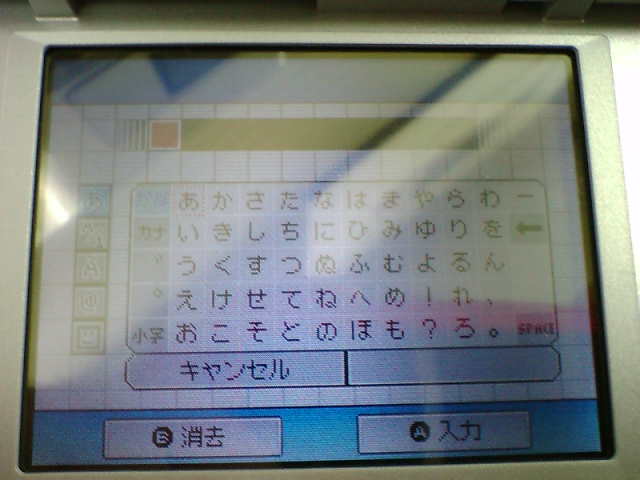 Nintendo DS : photos des menus